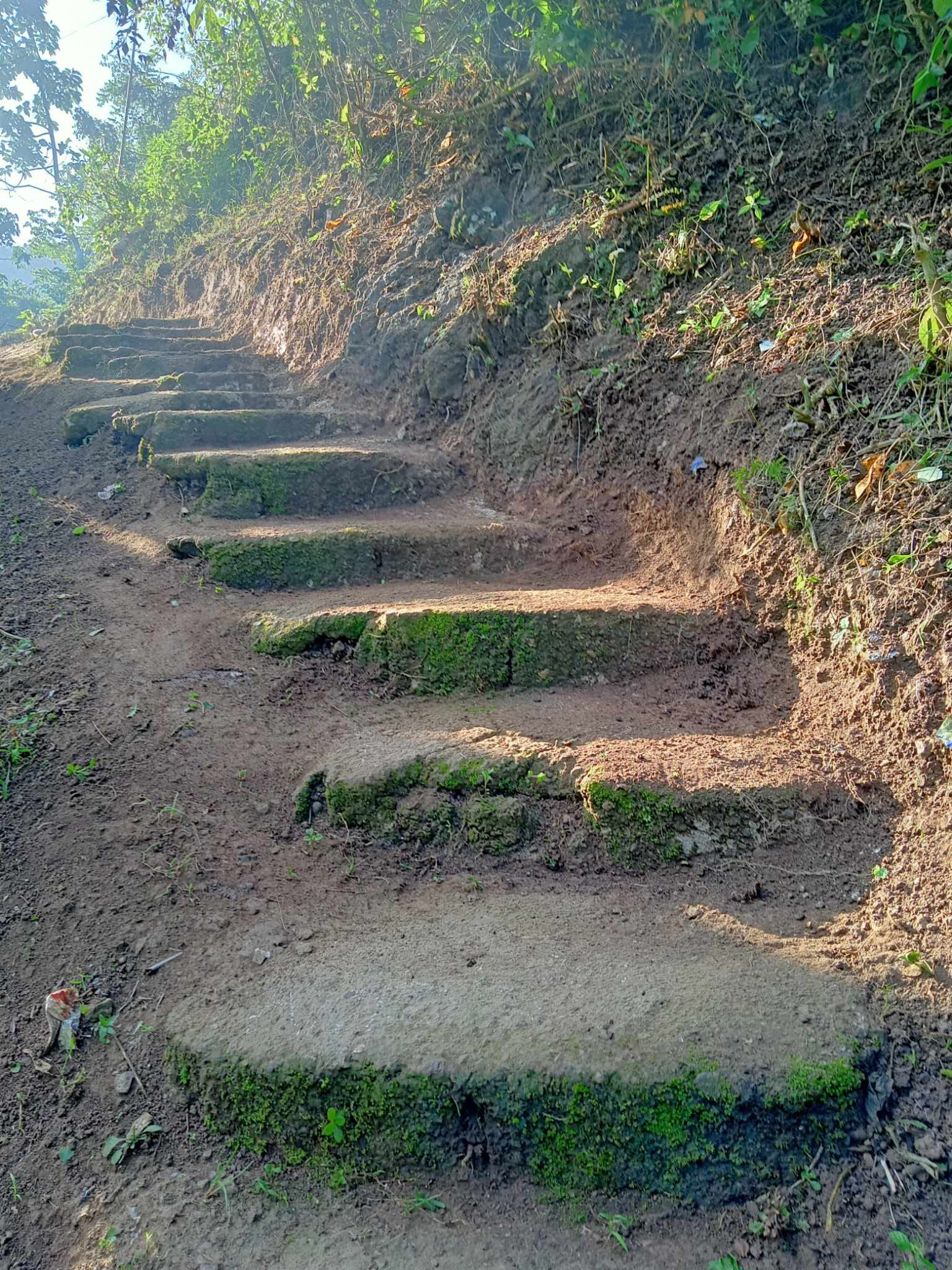 Footpath Repair