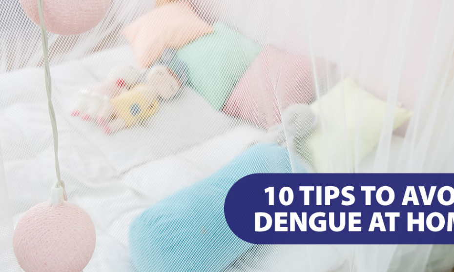 UNILAB Article Presents 10 Tips to Avoid Dengue at home